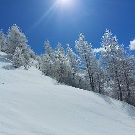 Le Studio Du Queyras Avec Vue Sur La Montagne 阿布里斯 外观 照片
